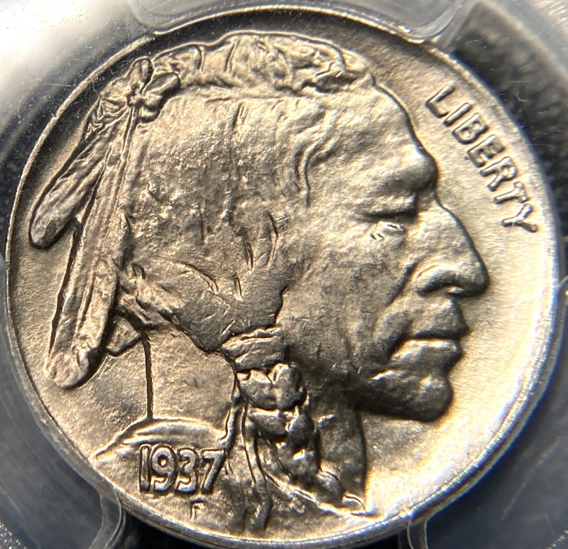 1937-Buffalo-Nickel,-You-Vs.-PCGS